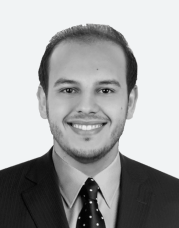 Mohamed Ayman Elmahdi Ibrahim